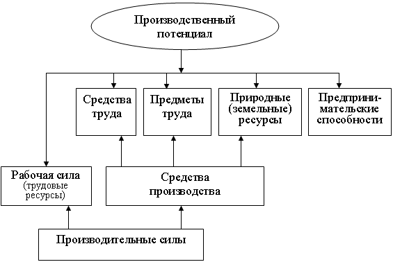 ris1